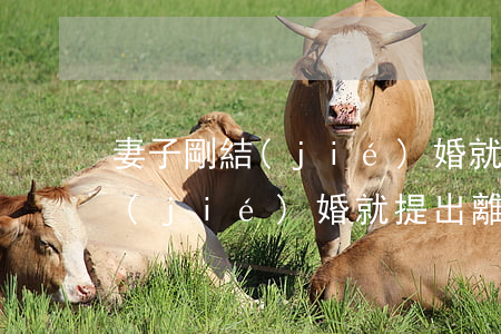妻子剛結(jié)婚就提出離婚(妻子剛結(jié)婚就提出離婚)