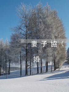 妻子協(xié)商假離婚(妻子騙丈夫假離婚)