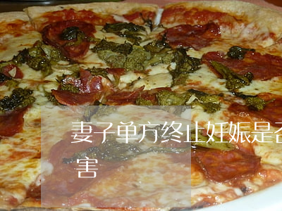 妻子单方终止妊娠,是否构成对夫生育权的侵害