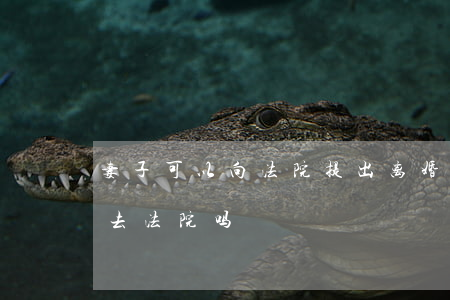 妻子可以向法院提出离婚吗(夫妻离婚一定要去法院吗)