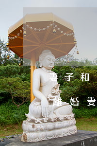 妻子和別人生了孩子判決不準(zhǔn)離婚(妻子生的孩子不是自己的法院怎么判)