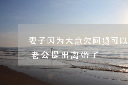 妻子因为大意欠网贷可以离婚吗(女方欠网贷老公提出离婚了)