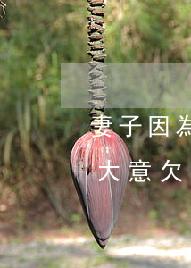 妻子因為大意欠網貸可以離婚嗎-妻子因為大意欠網貸可以離婚嗎知乎