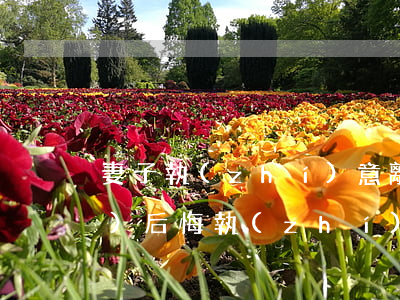 妻子執(zhí)意離婚后多久會(huì)后悔(執(zhí)意離婚的女人會(huì)后悔嗎)