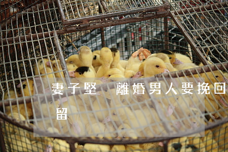妻子堅決離婚男人要挽回嗎(離婚男人還要挽留)