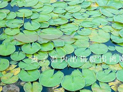 妻子婚内出轨提出离婚(妻子出轨应该离婚吗)