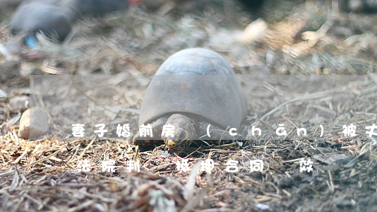 妻子婚前房產(chǎn)被丈夫偷偷抵押，法院判決抵押合同無效