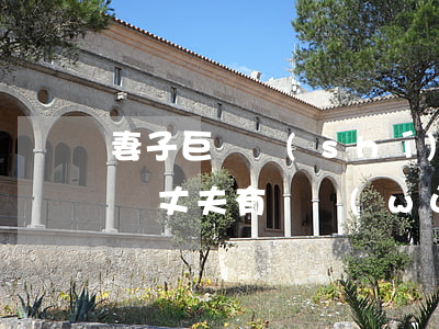 妻子巨債實(shí)在無力償還(妻子欠的債丈夫有義務(wù)償還嗎)