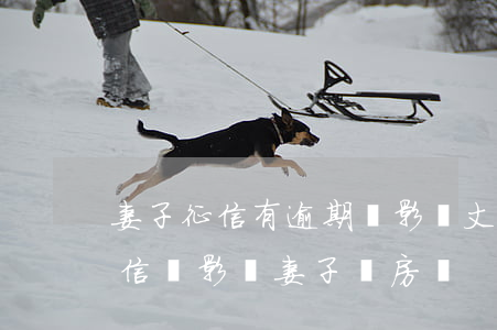 妻子征信有逾期會影響丈夫買房嗎(丈夫的征信會影響妻子買房嗎)