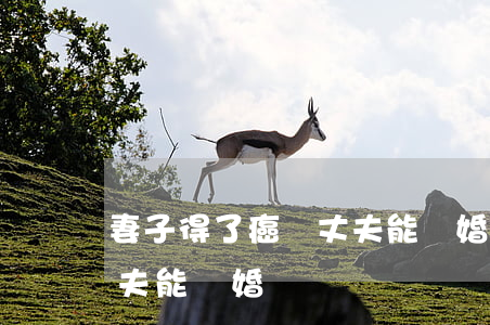 妻子得了癌癥丈夫能離婚嗎(妻子得了癌癥丈夫能離婚嗎)
