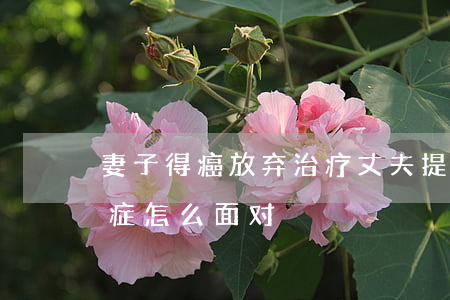妻子得癌放弃治疗丈夫提出离婚(妻子得了癌症怎么面对)