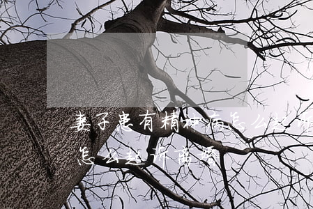妻子患有精神病怎么起诉离婚(老公有精神病怎么起诉离婚)