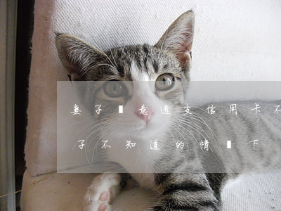 妻子惡意透支信用卡不還(丈夫信用卡透支妻子不知道的情況下)