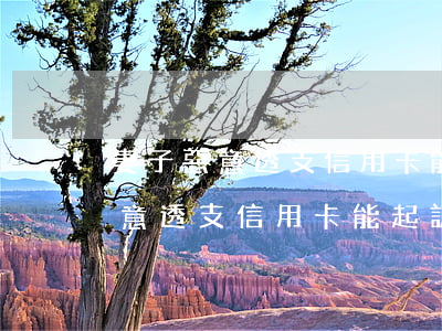 妻子惡意透支信用卡能起訴離婚嗎-妻子惡意透支信用卡能起訴離婚嗎知乎