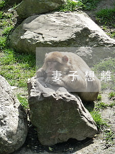 妻子想離婚如愿以償(妻子終于同意離婚)