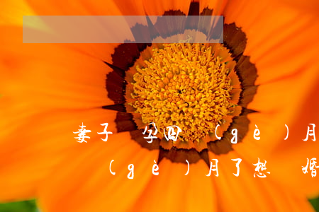妻子懷孕四個(gè)月老公要離婚(懷孕四個(gè)月了,想離婚!該不該留下孩子)