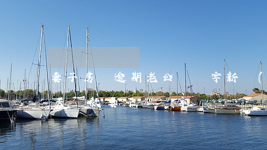 妻子房貸逾期老公沒簽字(新規(guī)丈夫貸款妻子沒簽字)