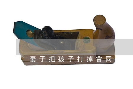 妻子把孩子打掉會同意離婚嗎(老婆私自打掉小孩可以起訴嗎)