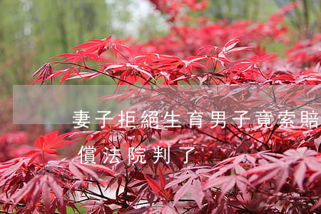 妻子拒絕生育，男子竟索賠15萬精神損害賠償！法院判了