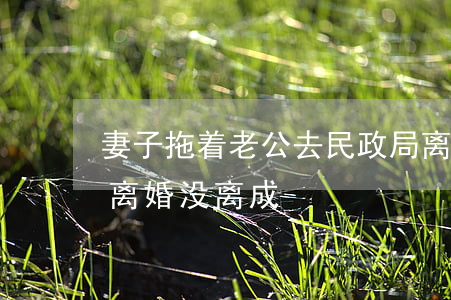 妻子拖着老公去民政局离婚(和老公去民政局离婚没离成)
