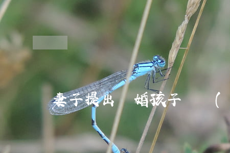 妻子提出離婚孩子歸誰(shuí)