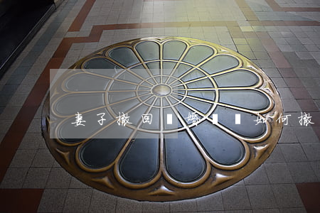 妻子撤回離婚訴訟(如何撤訴離婚案)
