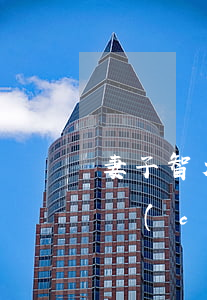 妻子智力有問(wèn)題可以離婚嗎(老公車(chē)禍智障妻子可以離婚嗎)