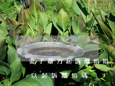 妻子暴力起訴離婚(婚內(nèi)冷暴力可以起訴離婚嗎?)