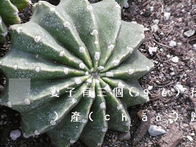 妻子有三個(gè)孩子離婚后財(cái)產(chǎn)歸誰(離婚可以把財(cái)產(chǎn)全部歸女兒所有嗎)