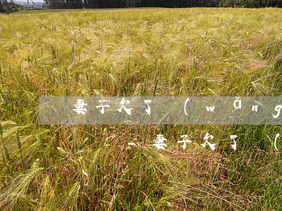 妻子欠了網(wǎng)貸老公有義務替我還嗎-妻子欠了網(wǎng)貸老公有義務替我還嗎怎么辦
