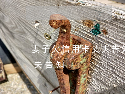 妻子欠信用卡丈夫告知家人（妻子欠信用卡丈夫告知）