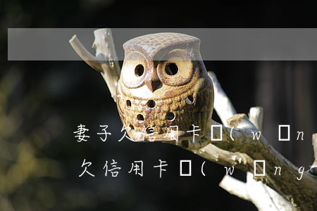 妻子欠信用卡網(wǎng)貸還不上(妻子欠信用卡網(wǎng)貸還不上)