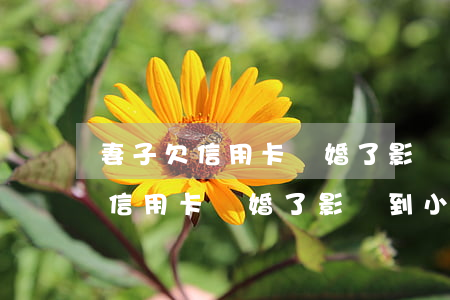 妻子欠信用卡離婚了影響到小孩嗎-妻子欠信用卡離婚了影響到小孩嗎怎么辦