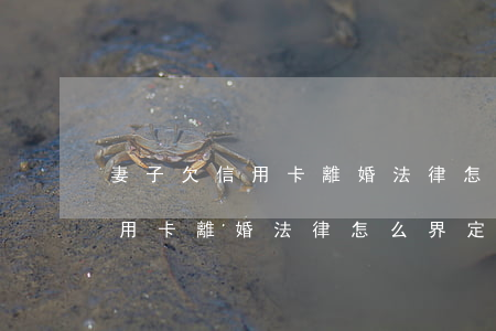 妻子欠信用卡離婚法律怎么界定-妻子欠信用卡離婚法律怎么界定的