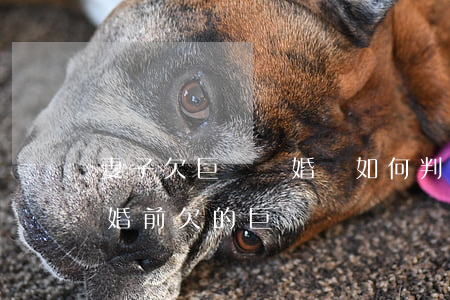 妻子欠巨債離婚會如何判(妻子結(jié)婚前欠的巨債誰還)