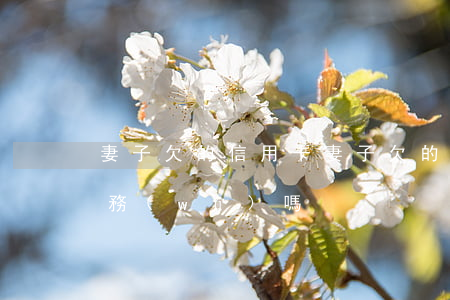 妻子欠的信用卡(妻子欠的信用卡都是夫妻債務(wù)嗎?)