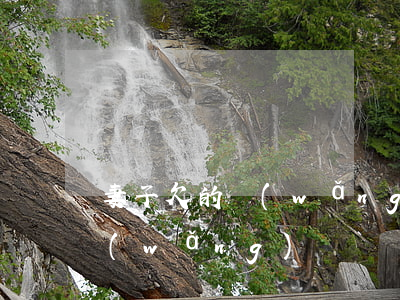 妻子欠的網(wǎng)貸(妻子欠下巨額網(wǎng)貸)