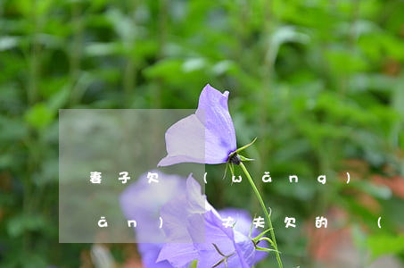 妻子欠網(wǎng)貸丈夫需要承擔(dān)嗎(丈夫欠的網(wǎng)貸妻子也要幫他承擔(dān)嗎)
