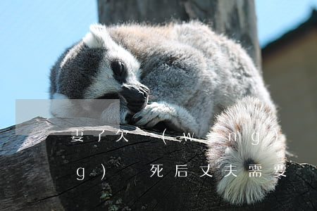 妻子欠網(wǎng)貸(妻子欠網(wǎng)貸死后丈夫需要還嗎)