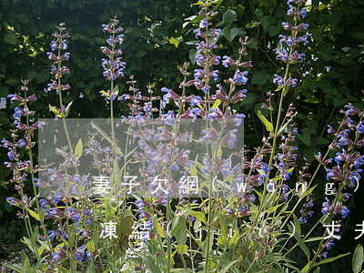 妻子欠網(wǎng)貸逾期會(huì)凍結(jié)丈夫銀行卡(我欠網(wǎng)貸老公賬戶會(huì)被凍結(jié)嗎)