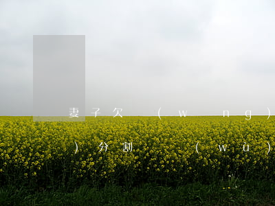 妻子欠網(wǎng)貸離婚后會(huì)分割債務(wù)嗎(婚后欠債離婚怎么分)