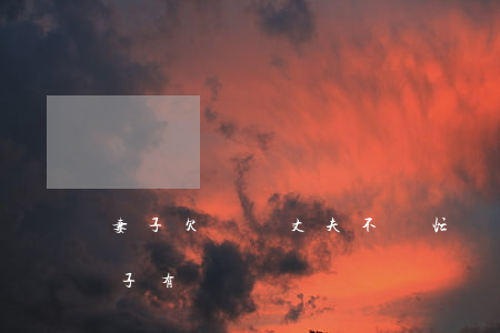 妻子欠網貸丈夫不幫忙還錢(丈夫欠的網貸妻子有義務償還嗎)