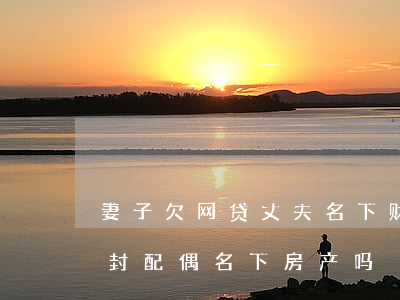 妻子欠网贷丈夫名下财产能查封吗(网贷会查封配偶名下房产吗)
