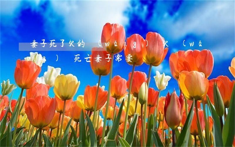 妻子死了欠的網(wǎng)貸(欠網(wǎng)貸死亡妻子需要還嗎)