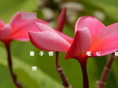 妻子照顧癱瘓老公離婚(老公癱瘓離婚后誰管他)