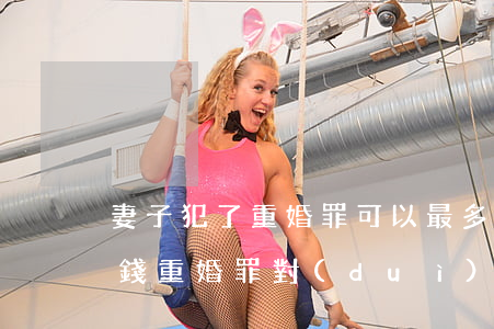 妻子犯了重婚罪可以最多可以要求賠償多少錢(重婚罪對(duì)方可獲得賠償金嗎)