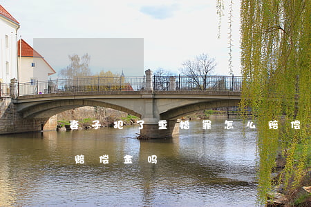 妻子犯了重婚罪怎么赔偿(重婚罪对方可获得赔偿金吗)