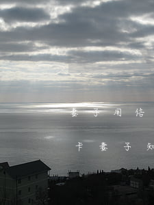 妻子用信用卡透支犯法嗎(丈夫惡意透支信用卡妻子知道了應(yīng)怎么辦)