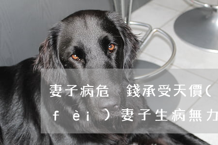 妻子病危沒錢承受天價(jià)治療費(fèi)（妻子生病無力償還債務(wù)）