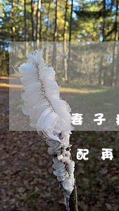 妻子病故老公再婚遺產(chǎn)怎樣分配(再婚老人去世遺產(chǎn)分配)
